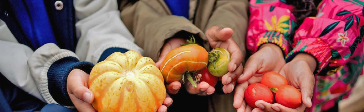 Close up on the hands of children holding fruit and vegetables including squash and tomatoes