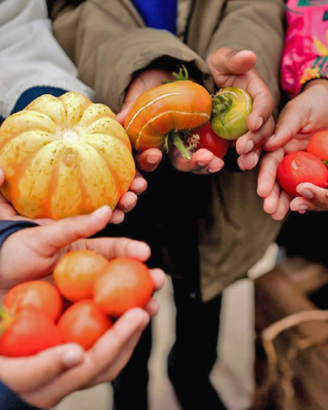 Close up on the hands of children holding fruit and vegetables including squash and tomatoes