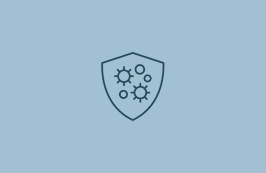 An icon of a shield